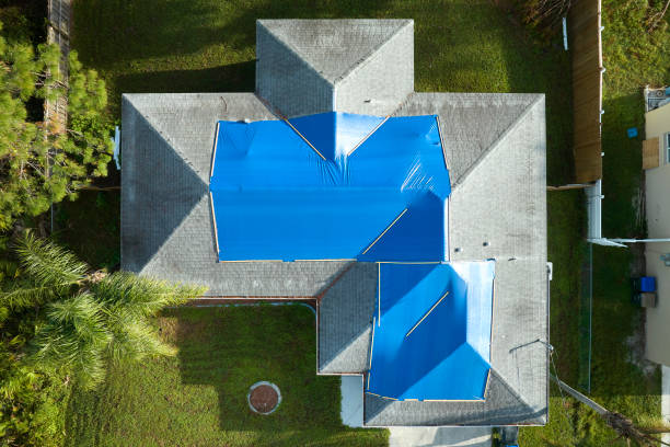 Best Asphalt Shingles Roofing  in Dupont, WA